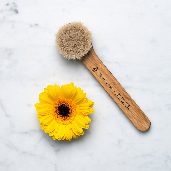 Daily Glow Facial Dry Brush