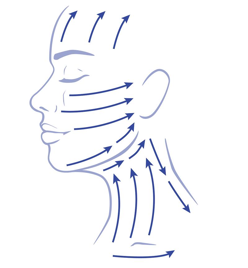 Province Apothecary Facial Cupping Diagram 1