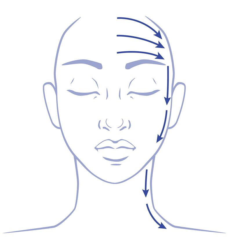 Province Apothecary Facial Cupping Diagram 2